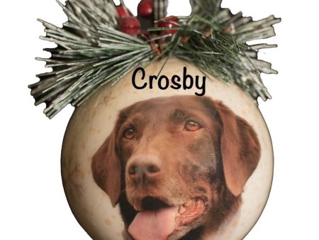 Chocolate Lab Christmas Ornament Online now