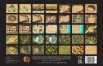 Into the Wilds Battlemap Books - Deserts & Jungles *PRE-ORDER* Cheap